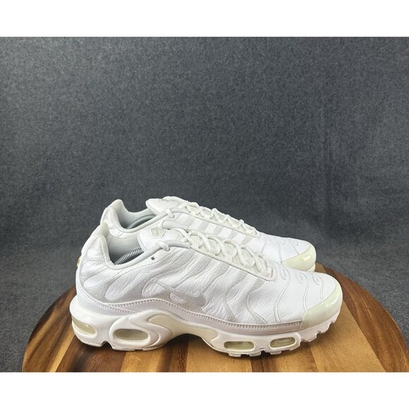 Nike Air Max Plus TN Triple White Metallic Silver AJ2029-100 Men Sz 13 With Box - Picture 1 of 14